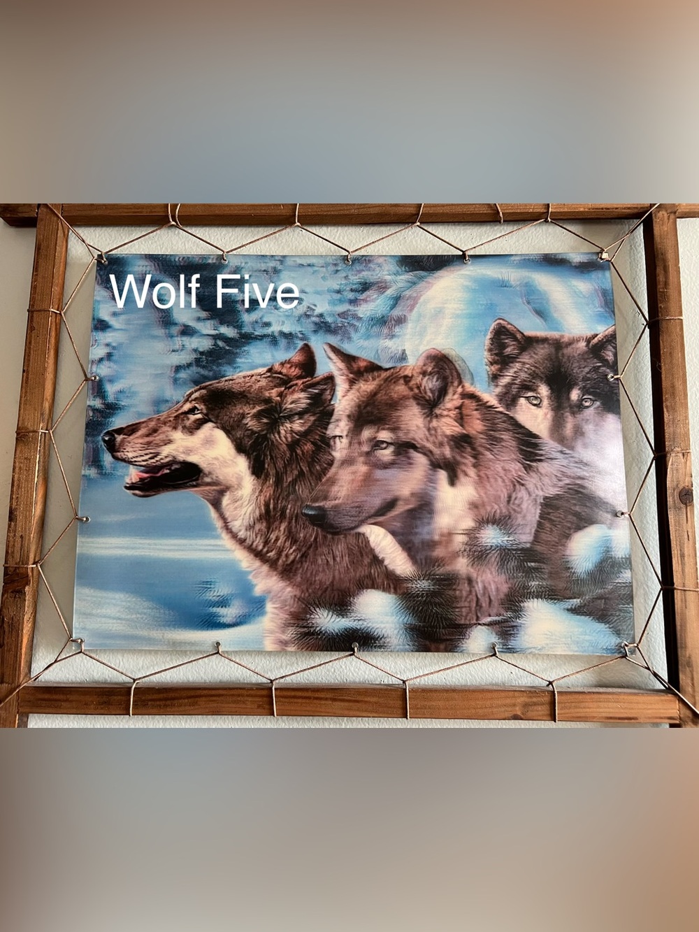 Pick One: Majestic Wolf Pictures - Picture 8 of 9